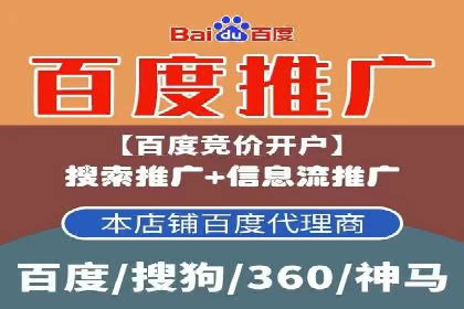 成功背后的力量：SEM推广代运营公司的故事